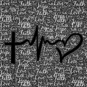 Meet your Posher, Rosa